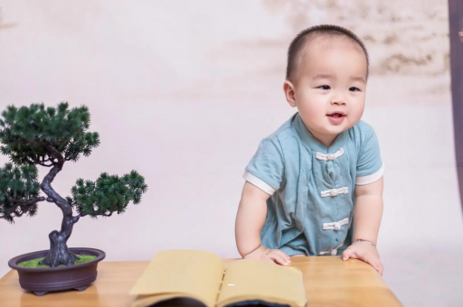 专业试管借卵代怀机构可爱的企鹅宝宝